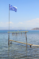 Octopus tentacle drying under the sun in Greece