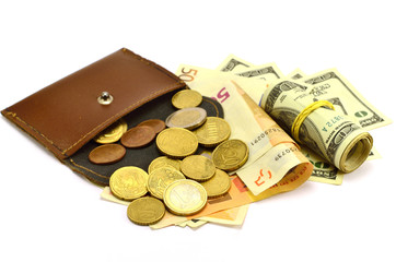 purse of coins and banknotes