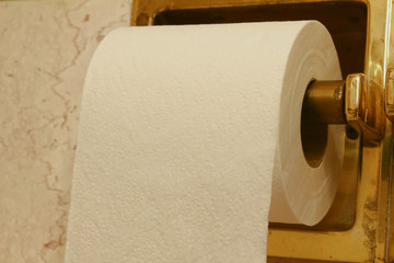 toilet paper roll with holder