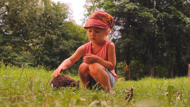 девочка и ёжик на траве