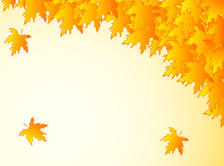 background in warm colors with yellow maple leaves.