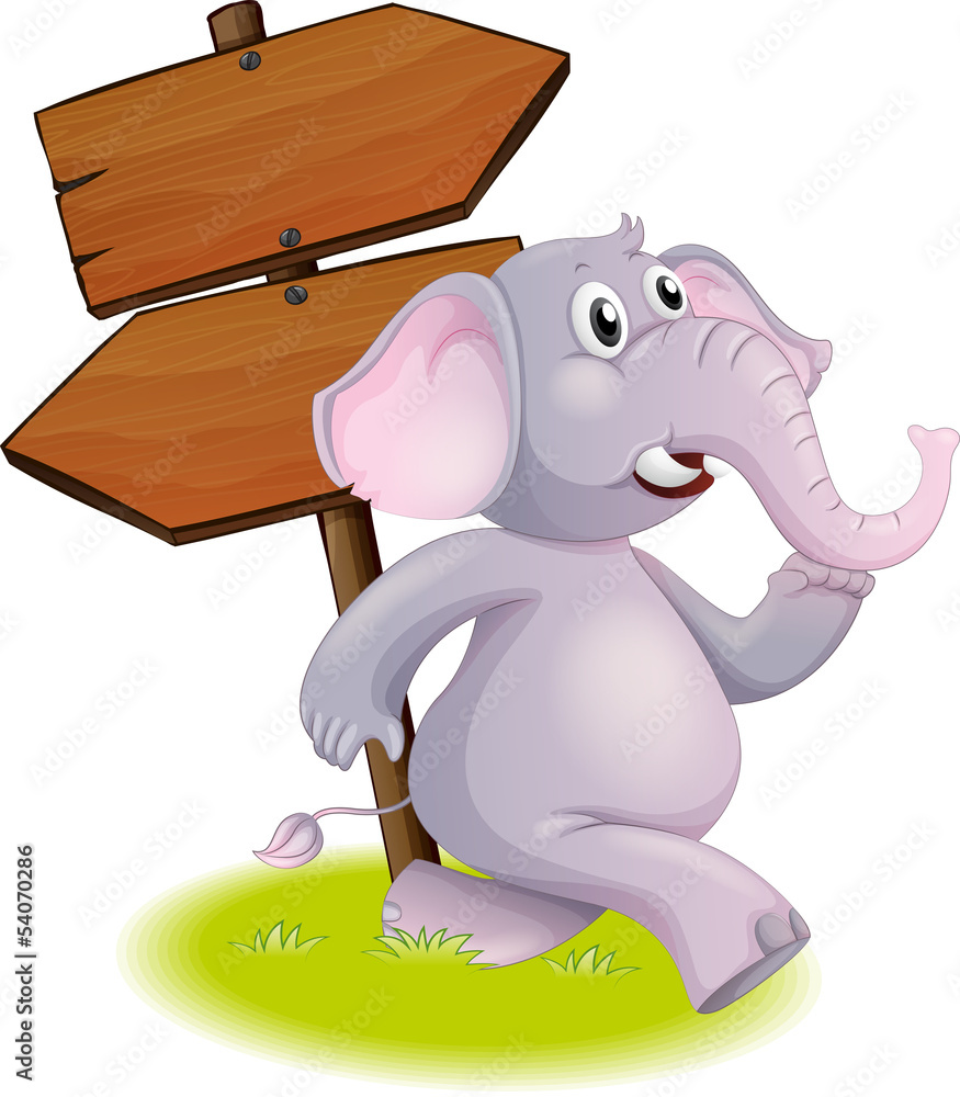 Poster a gray elephant following the direction