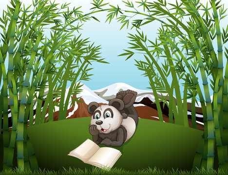 A panda reading at the hilltop with bamboos