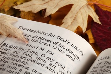Naklejka na ściany i meble Open Bible and autumn leaves.