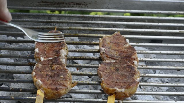 Fleischspie&szlig;e