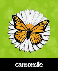 Vector summer background with flower and butterfly