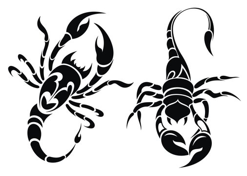 Scorpion tattoo design