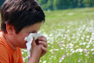 child with an allergy to pollen while you blow your nose with a