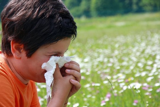 Child With An Allergy To Pollen While You Blow Your Nose With A