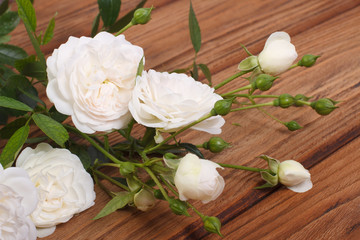 climber white rose brown wooden table