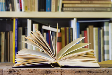 Fototapeta premium opened book, bookshelf in the back, swallow depth of field