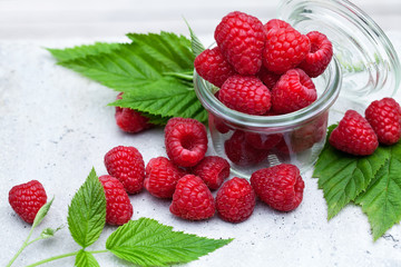 Frische Himbeeren