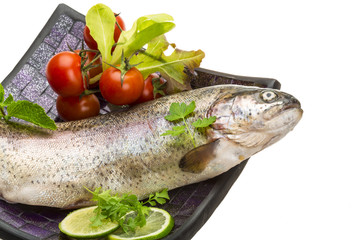 Fresh raw rainbow trout