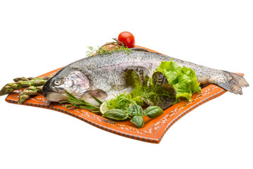 Fresh raw rainbow trout