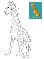 Cartoon safari - coloring page - illustration for the children