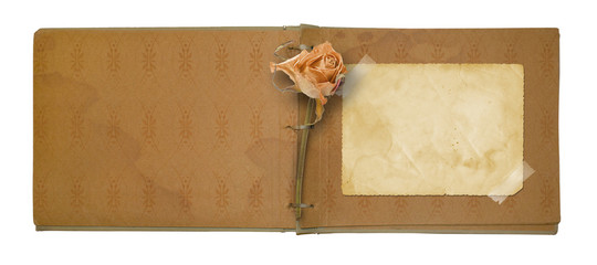 Old photo album with beautiful dried rose isolated on a white ba