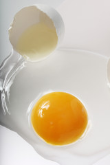 Egg