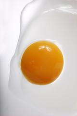 Egg