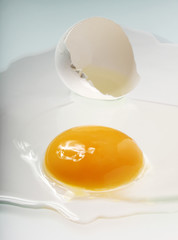 Egg