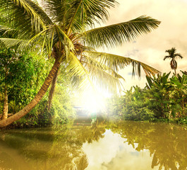 Naklejka premium Tropical river