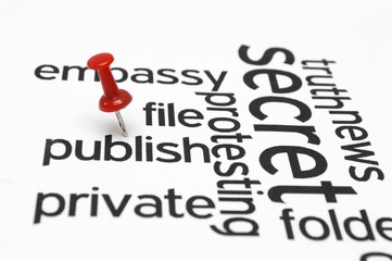 Fototapeta premium FIle publish private