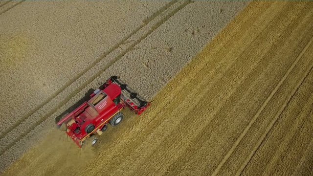 Filmflug &uuml;ber ein Getreidefeld