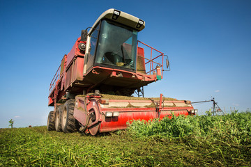 Combine harvesting a crop