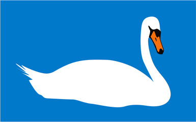 White swan