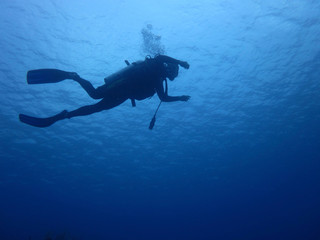 Diver Down