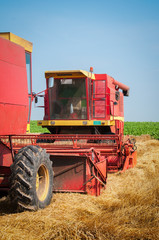 Fototapeta premium Combine harvesting wheat