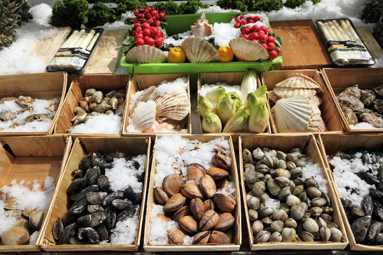 Display of shellfish, Brussels, Belgium , Europe