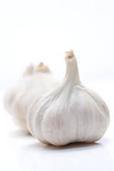 Head of garlic