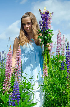 Teenager collects lupine flowers