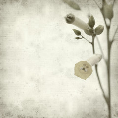 textured old paper background