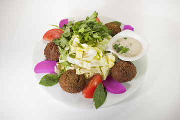 Falafel Humus Teller