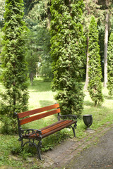 The bench costs in park