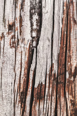 Old Weathered Cracked Wooden Crosstie Surface Texture