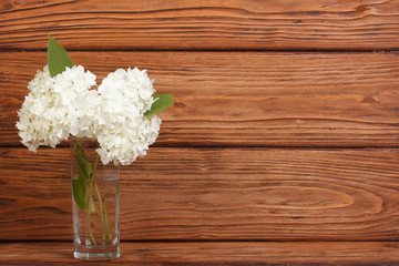 Bouquet of white hydrangea in a vase