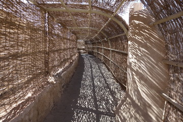 twisted cane tunnel