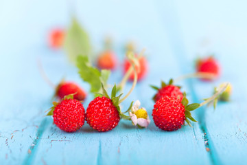 leckere Walderdbeeren