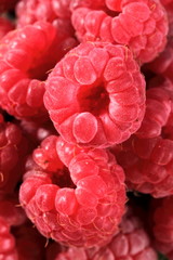 Ripe red raspberries 