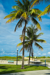 Fototapeta premium Miami Beach