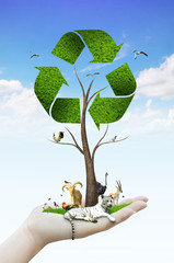 hand holding tree as a recycle symbol with animal