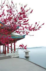 Foto op Canvas The red pavilion Ancient building next to West Lake in Hangzhou © Aania