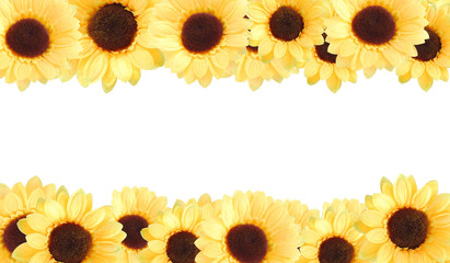 artificial yellow sunflowers background with white blank at cent