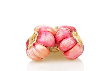 Garlic on a white background