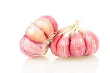 Garlic on a white background