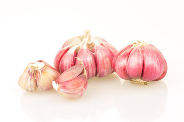 Garlic on a white background