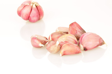 Garlic on a white background