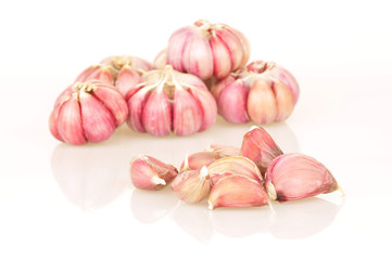 Garlic on a white background